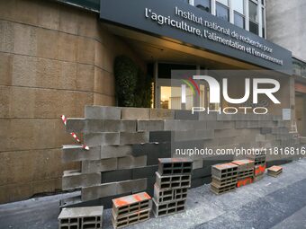 French farmers construct a symbolic wall in front of the French National Institute for Agricultural Research (INRAE) head office to represen...