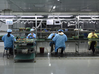 Employees work on a circuit board production line at the workshop of Anhui Shixin Electronic Technology Co LTD in Fuyang, China, on November...