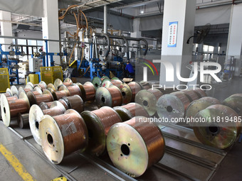 Employees work on a wire and cable production line at Anhui Aipu Huaton Electronic Technology Co LTD in Fuyang, China, on November 29, 2024....