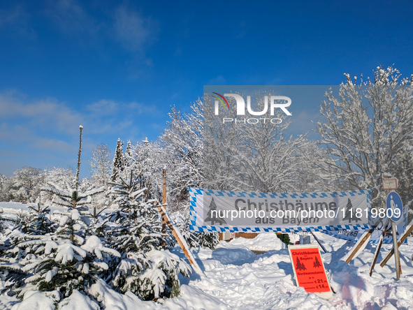 A Christmas tree sales stand is snowed in Gauting, Germany, on December 3, 2023. 