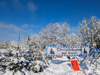 A Christmas tree sales stand is snowed in Gauting, Germany, on December 3, 2023. (