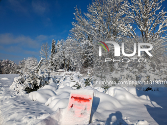 A Christmas tree sales stand is snowed in Gauting, Germany, on December 3, 2023. (