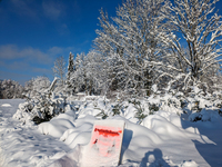 A Christmas tree sales stand is snowed in Gauting, Germany, on December 3, 2023. (