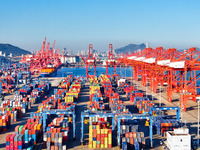 The photo shows the working scene of a container terminal at Lianyungang Port in Jiangsu province, China, on November 29, 2024. (