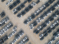 New energy vehicles park in Changansuzuki's parking lot in Chongqing, China, on November 28, 2024. (