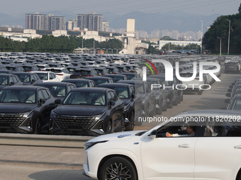 New energy vehicles park in Changansuzuki's parking lot in Chongqing, China, on November 28, 2024. (