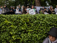 An Indonesian woman attends a rally during a pro-Palestinian demonstration in front of the US Embassy in Jakarta, Indonesia, on November 29,...