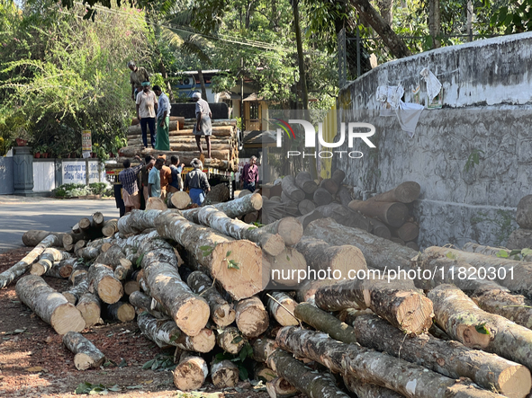 Workers load logs from rubber trees onto a truck to transport them to a mill to be made into plywood in Pathanapuram, Kollam, Kerala, India,...