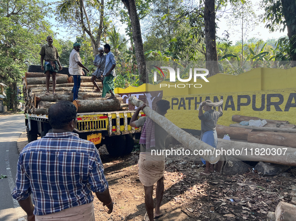 Workers load logs from rubber trees onto a truck to transport them to a mill to be made into plywood in Pathanapuram, Kollam, Kerala, India,...