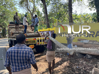 Workers load logs from rubber trees onto a truck to transport them to a mill to be made into plywood in Pathanapuram, Kollam, Kerala, India,...