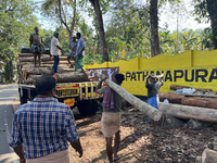 Workers load logs from rubber trees onto a truck to transport them to a mill to be made into plywood in Pathanapuram, Kollam, Kerala, India,...