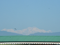 The peak of Kangchenjunga in the eastern Himalayan range is visible from Siliguri, India, on November 29, 2024. (