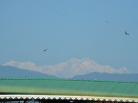 The peak of Kangchenjunga in the eastern Himalayan range is visible from Siliguri, India, on November 29, 2024. (