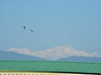 The peak of Kangchenjunga in the eastern Himalayan range is visible from Siliguri, India, on November 29, 2024. (