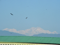 The peak of Kangchenjunga in the eastern Himalayan range is visible from Siliguri, India, on November 29, 2024. (