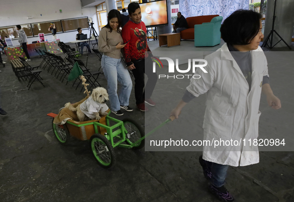 Juana Villada Martinez, a food chemist who graduated from the National Autonomous University of Mexico and founder of Grupo Vima inclusionnt...