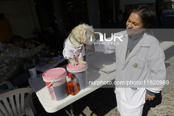 Juana Villada Martinez, a food chemist who graduates from the National Autonomous University of Mexico and founder of Grupo Vima inclusionnt...