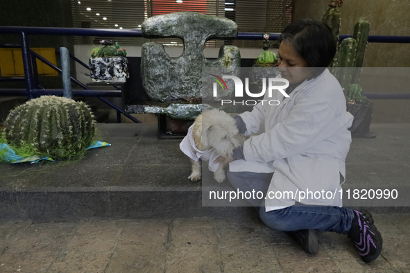 Juana Villada Martinez, a food chemist who graduated from the National Autonomous University of Mexico and founder of Grupo Vima inclusionnt...