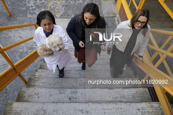 Juana Villada Martinez, a food chemist who graduated from the National Autonomous University of Mexico and founder of Grupo Vima inclusionnt...