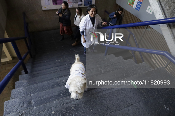 Juana Villada Martinez, a food chemist who graduated from the National Autonomous University of Mexico and founder of Grupo Vima inclusionnt...