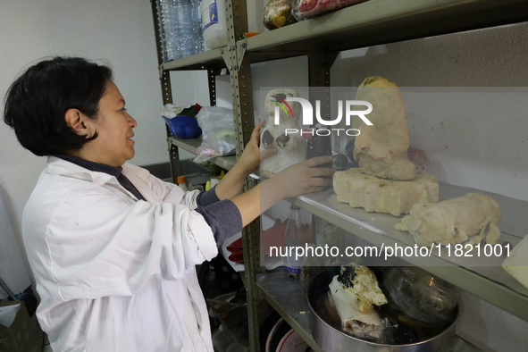 Juana Villada Martinez, a food chemist who graduates from the National Autonomous University of Mexico and founds Grupo Vima inclusionnte AC...