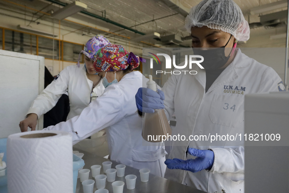 Chemists and laboratory technicians work with Juana Villada Martinez, a food chemist who graduated from the National Autonomous University o...