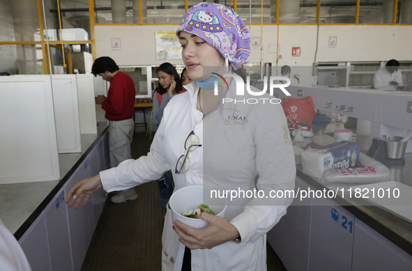 Chemists and laboratory technicians work with Juana Villada Martinez, a food chemist who graduated from the National Autonomous University o...