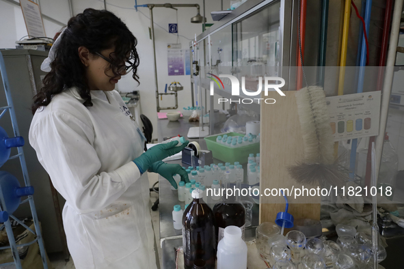 Chemists and laboratory technicians work with Juana Villada Martinez, a food chemist who graduated from the National Autonomous University o...