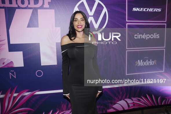 Alejandra Tijerina attends the pink carpet for the 14th anniversary of Estilo DF at General Prim 30 in Mexico City, Mexico, on November 28,...