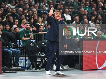 Head Coach Ergin Ataman of Panathinaikos AKTOR Athens is present during the Euroleague, Round 12 match between Panathinaikos AKTOR Athens an...