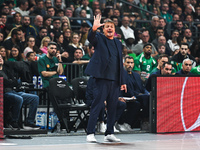 Head Coach Ergin Ataman of Panathinaikos AKTOR Athens is present during the Euroleague, Round 12 match between Panathinaikos AKTOR Athens an...