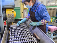 A worker works at an auto parts manufacturing enterprise in the Economic Development Zone of Qingzhou City, East China's Shandong Province,...