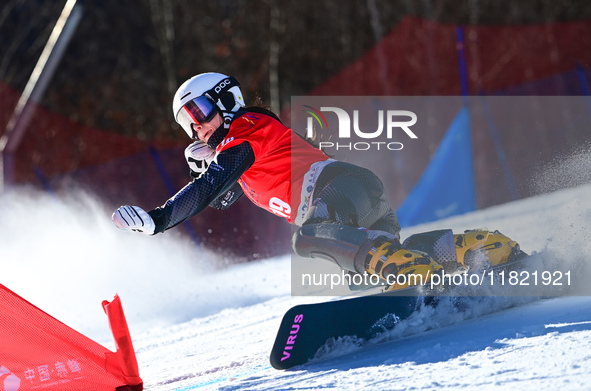 Kotnik Gloria of Slovenia competes during the first round of the women's snowboard parallel giant slalom at the 2024-2025 ISF Snowboard Para...