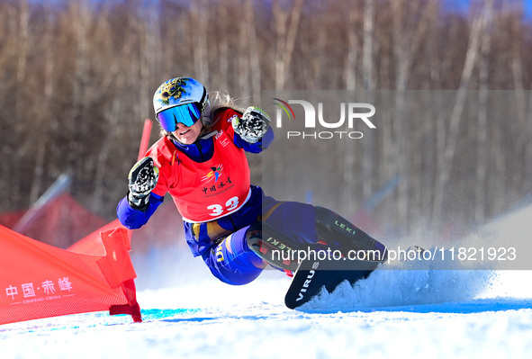 Dancia Annamarie of the United States competes during the first round of the women's snowboard parallel giant slalom at the 2024-2025 ISF Sn...