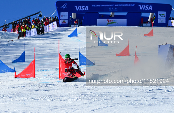 Ankler Martina of Austria competes during the first round of the women's snowboard parallel giant slalom at the 2024-2025 ISF Snowboard Para...