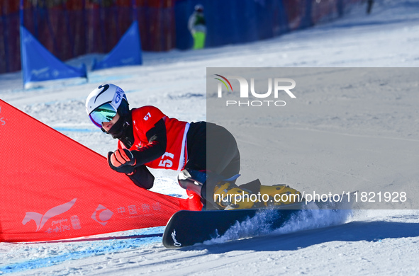 Dong Xue of China competes during the first round of the women's snowboard parallel giant slalom at the 2024-2025 ISF Snowboard Parallel Eve...