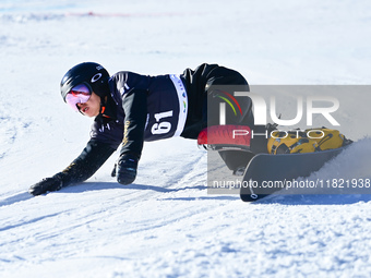 Qin Zihan of China competes during the first round of the men's snowboard parallel giant slalom at the 2024-2025 ISF Snowboard Parallel Even...