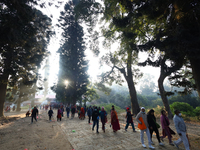 Nepali Hindu devotees offer ''Sat-bij,'' seven sacred seeds, to a Shivalinga (idol of Lord Shiva) in the premises of Pashupatinath Temple in...