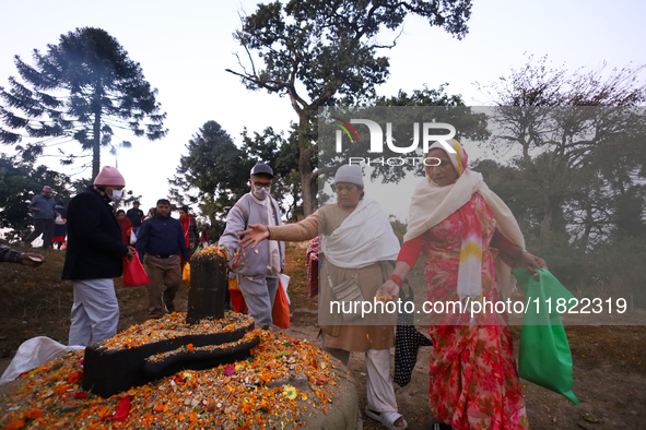 Nepali Hindu devotees offer ''Sat-bij,'' seven sacred seeds, to a Shivalinga (idol of Lord Shiva) in the premises of Pashupatinath Temple in...