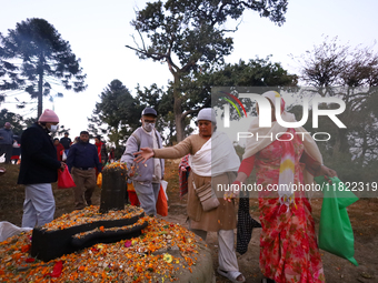 Nepali Hindu devotees offer ''Sat-bij,'' seven sacred seeds, to a Shivalinga (idol of Lord Shiva) in the premises of Pashupatinath Temple in...