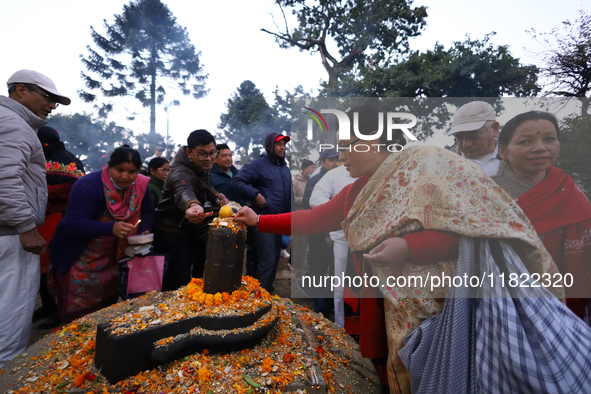 Nepali Hindu devotees offer ''Sat-bij,'' seven sacred seeds, to a Shivalinga (idol of Lord Shiva) in the premises of Pashupatinath Temple in...