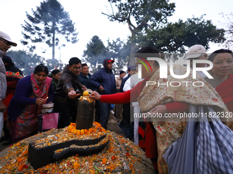 Nepali Hindu devotees offer ''Sat-bij,'' seven sacred seeds, to a Shivalinga (idol of Lord Shiva) in the premises of Pashupatinath Temple in...