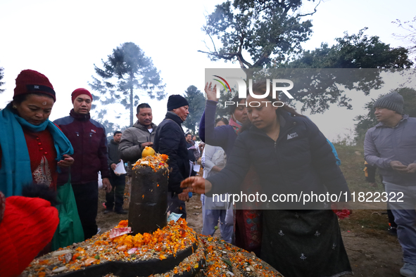 Nepali Hindu devotees offer ''Sat-bij,'' seven sacred seeds, to a Shivalinga (idol of Lord Shiva) in the premises of Pashupatinath Temple in...