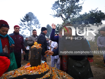 Nepali Hindu devotees offer ''Sat-bij,'' seven sacred seeds, to a Shivalinga (idol of Lord Shiva) in the premises of Pashupatinath Temple in...