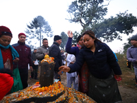 Nepali Hindu devotees offer ''Sat-bij,'' seven sacred seeds, to a Shivalinga (idol of Lord Shiva) in the premises of Pashupatinath Temple in...