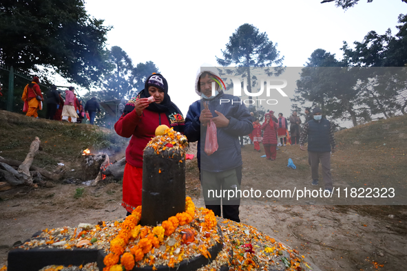 Nepali Hindu devotees offer ''Sat-bij,'' seven sacred seeds, to a Shivalinga (idol of Lord Shiva) in the premises of Pashupatinath Temple in...