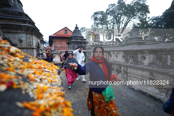 Nepali Hindu devotees offer ''Sat-bij,'' seven sacred seeds, to a Shivalinga (idol of Lord Shiva) in the premises of Pashupatinath Temple in...