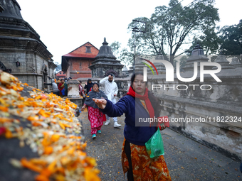 Nepali Hindu devotees offer ''Sat-bij,'' seven sacred seeds, to a Shivalinga (idol of Lord Shiva) in the premises of Pashupatinath Temple in...