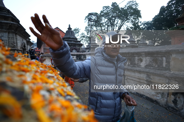 Nepali Hindu devotees offer ''Sat-bij,'' seven sacred seeds, to a Shivalinga (idol of Lord Shiva) in the premises of Pashupatinath Temple in...