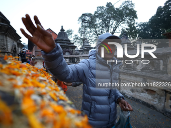 Nepali Hindu devotees offer ''Sat-bij,'' seven sacred seeds, to a Shivalinga (idol of Lord Shiva) in the premises of Pashupatinath Temple in...